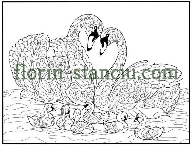 Swan Mandala Animals Coloring Book