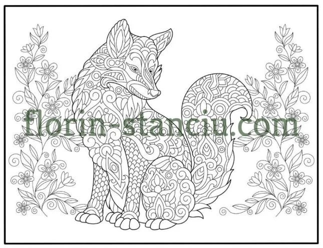 Fox Mandala Animals Coloring Book