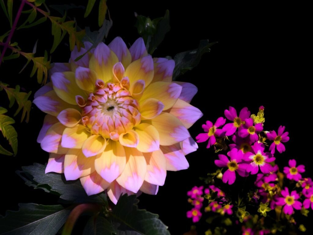 Midnight Blossoms: The Mesmerizing Charm of Night Flowers