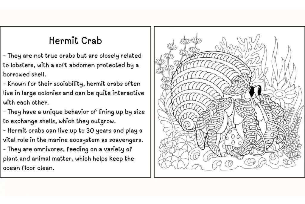 Sea Creatures Coloring Book Crab