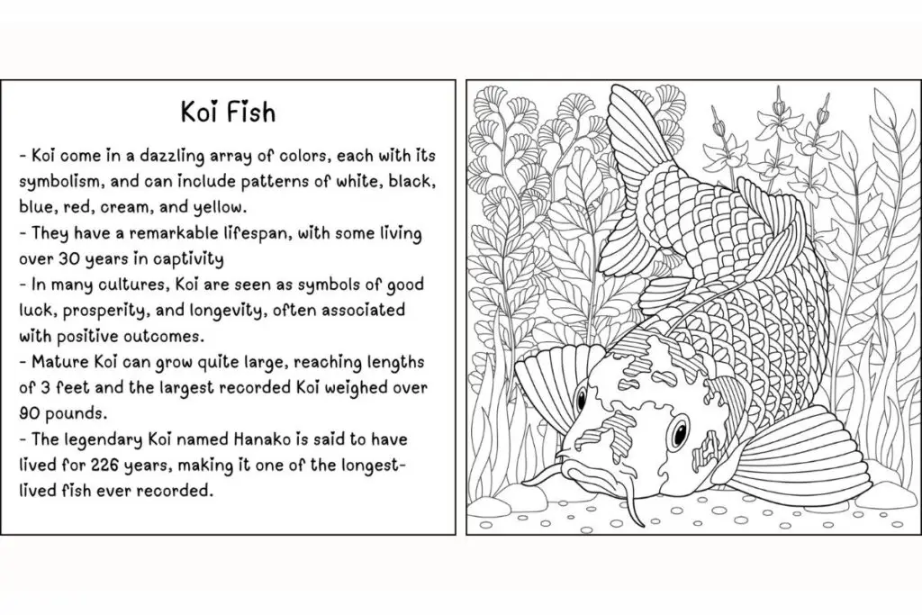 Sea Creatures Coloring Book Koi Fish