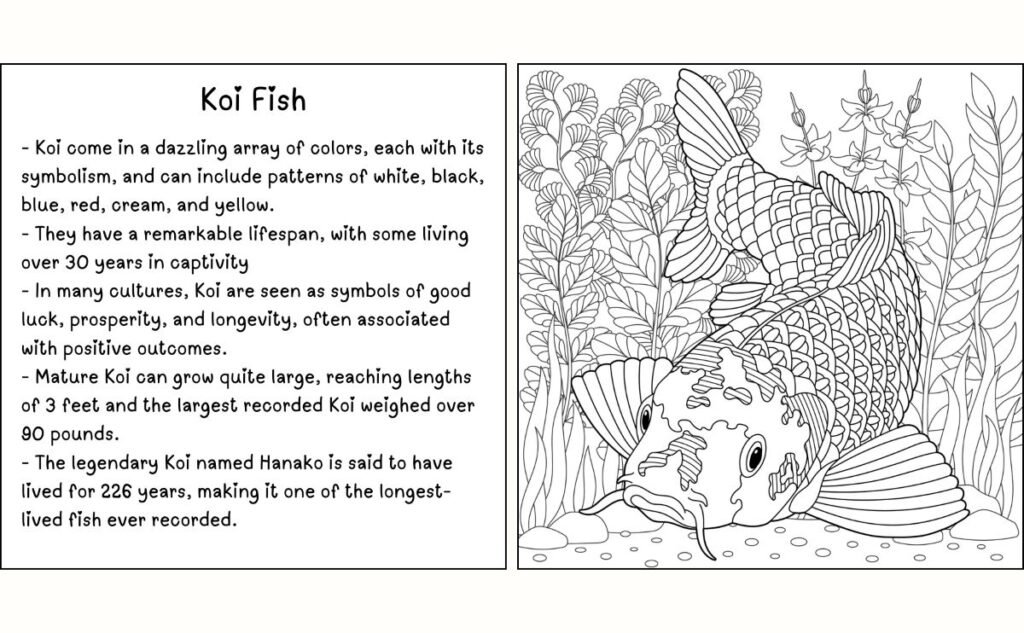 Koi Fish Coloring Page