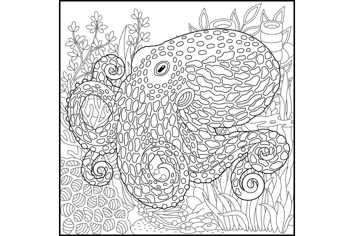 Mandala Octopus Illustration